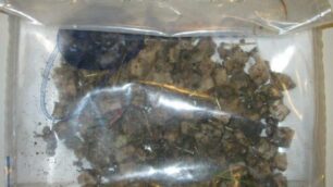 Giussano - Nel sacchetto di plastica la carne coi chiodi trovata in zona cascina Lazz’retto