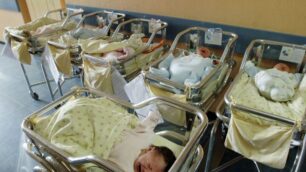 Monza - Il servizio per salvare i neonati dall’abbandono è a rischio