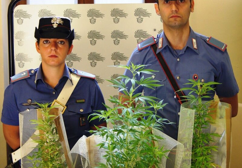 I carabinieri con le piante di marijuana trovate sul balcone di una coppia a Monza