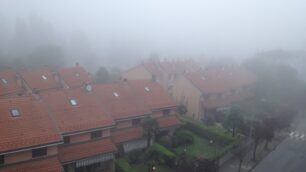 La nebbia fotografata nel Lodigiano