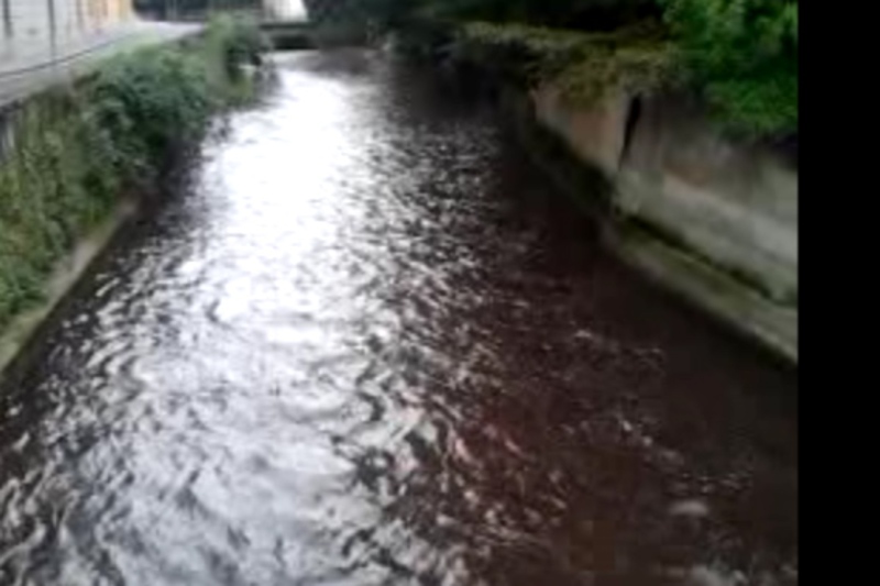 Il Lambro color viola alle sei di questa mattina.