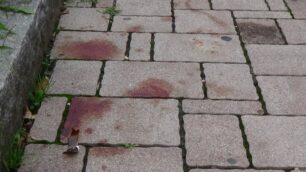 Le tracce di sangue sul marciapiede di Biassono.