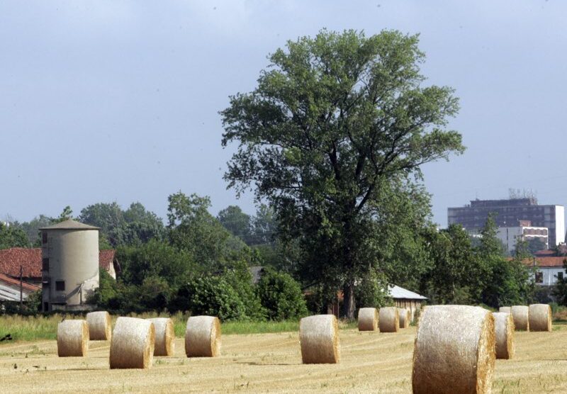 L'area della Cascinazza vincolata a parco