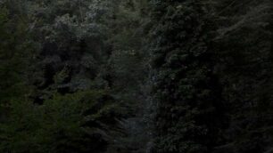 Uno sguardo oltre: ecco la “Seance room” della galleria Cart di Monza