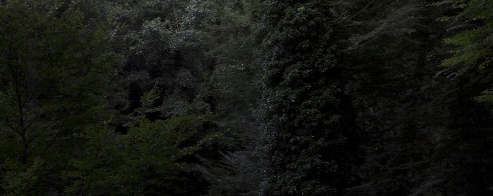 Uno sguardo oltre: ecco la “Seance room” della galleria Cart di Monza