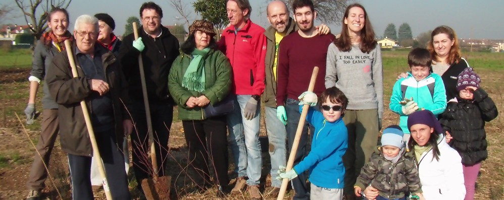 Desio, tutti piantati i mille alberi di Timberland