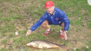 Monza, una carpa gigante trovata in mezzo al Parco