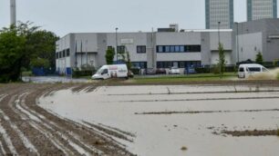 Muro d’acqua sulla Lombardia,  la pioggia piega l’agricoltura