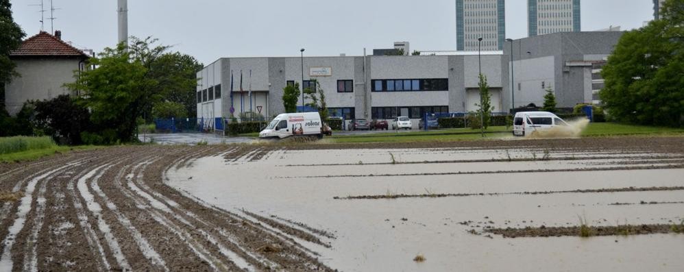 Muro d’acqua sulla Lombardia,  la pioggia piega l’agricoltura