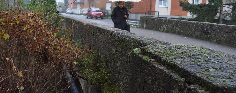 Vimercate e Burago, in 200 sollecitano la pulizia delle sponde del Molgora