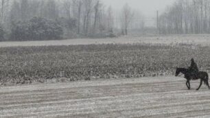 Meteo, aria polare sulla Brianza: piogge e qualche fiocco. Ma che fare in caso di neve?