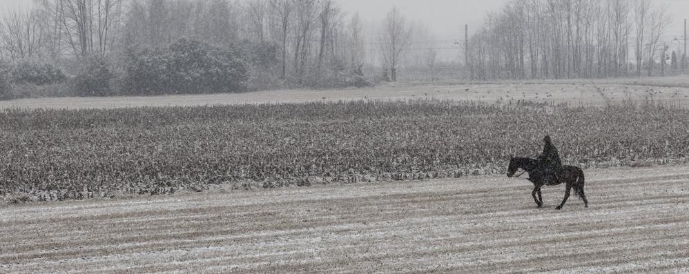 Meteo, aria polare sulla Brianza: piogge e qualche fiocco. Ma che fare in caso di neve?