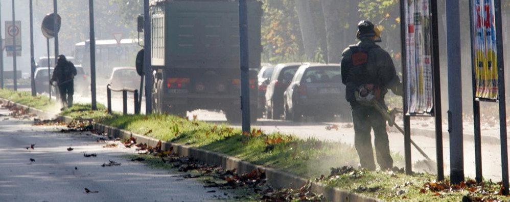 Monza stanzia 100mila euro per curare il verde pubblico