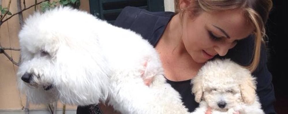 Aidaa chiede controlli: i Berlusconi viziano il cane  Dudù con i dolci