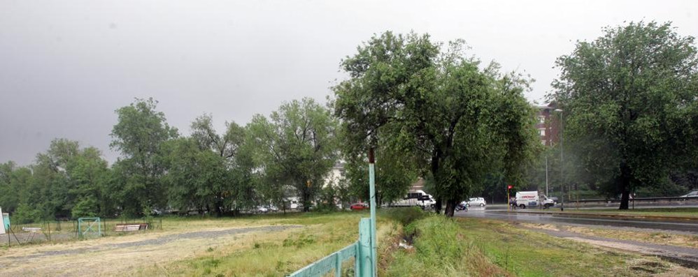 Monza, parchi pubblici e aiuole: via alla cura in vista di Expo 2015