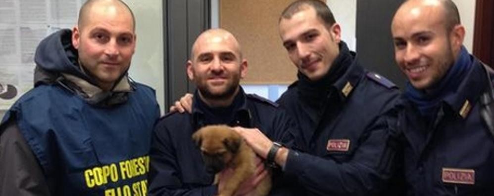 Prende a calci un cucciolo in stazione a Firenze, novese 50enne denunciato: «È solo un cane»