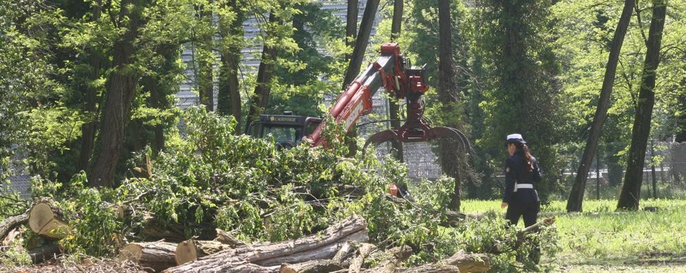 Tre detenuti al lavoro nel parco di Monza grazie a un accordo tra carcere e Consorzio