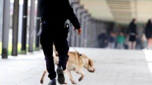 Vimercate, carabinieri con i cani antidroga a scuola: allerta degli studenti su facebook