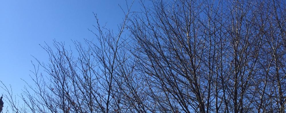 5 marzo 2015, vento forte e cielo terso su Monza e la Brianza