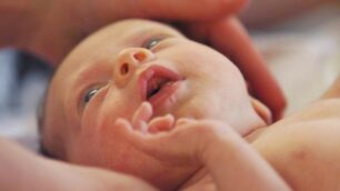 A Lissone arriva “Icaro”, il network per  registrare i neonati con un clic