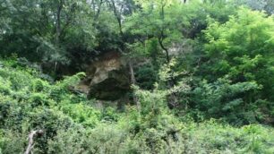 Parco Valle Lambro, Canonica Realdino