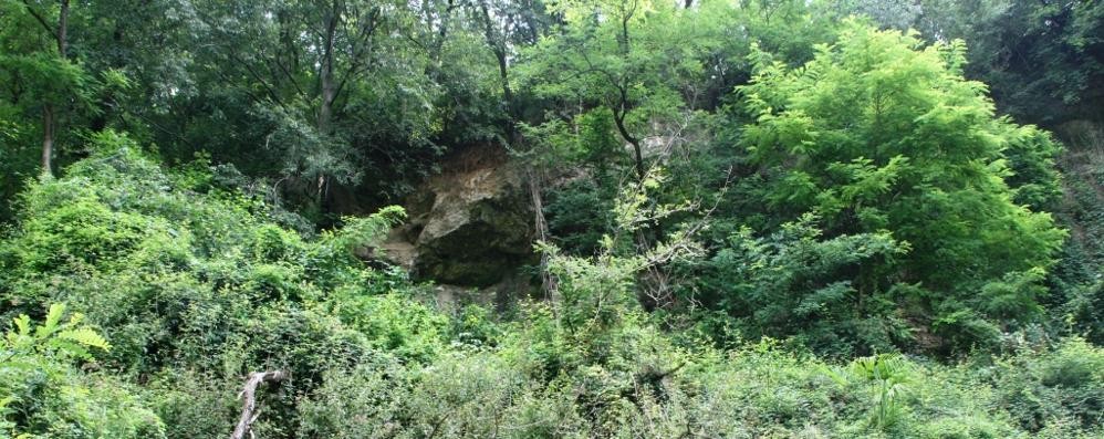 Parco Valle Lambro, Canonica Realdino