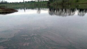 L’alga rossa di Increa rende tossico il lago: l’allarme dei pescatori di Brugherio
