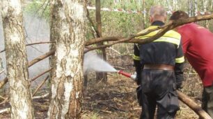 Piromane alle Groane: le fiamme bruciano ettari di bosco