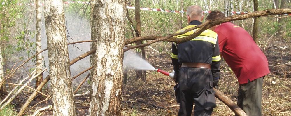 Piromane alle Groane: le fiamme bruciano ettari di bosco