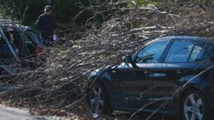 Protezione civile: allerta vento forte  sulla Brianza, chiuso il Parco di Monza