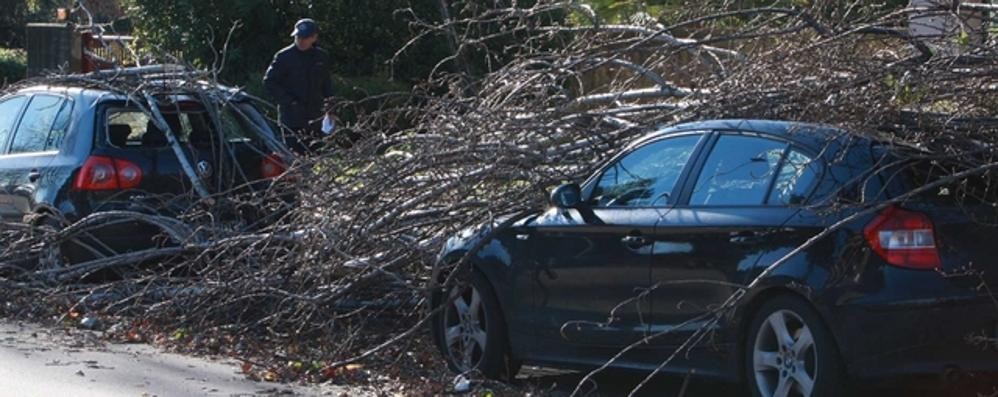 Protezione civile: allerta vento forte  sulla Brianza, chiuso il Parco di Monza