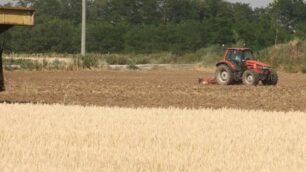 Scendete in campo: Monza a chilometro zero con il progetto City farmers