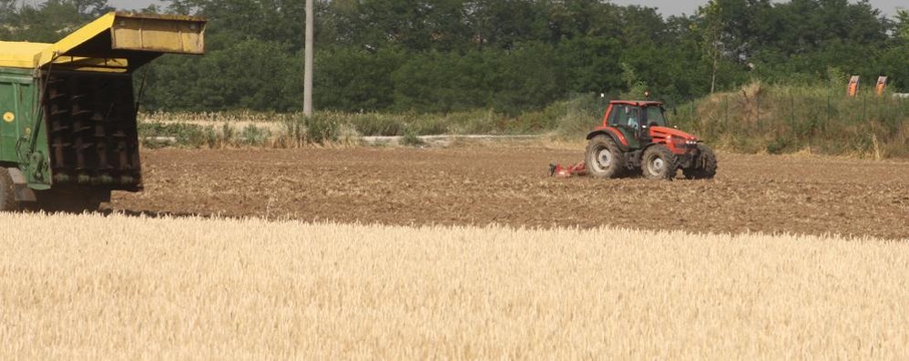 Scendete in campo: Monza a chilometro zero con il progetto City farmers