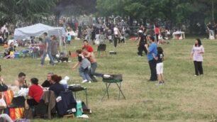 Brugherio: dai barbecue all’abbandono di tartarughe, le nuove multe al parco Increa