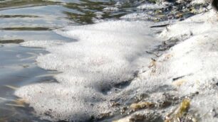 Schiuma nelle acque del laghetto di Parco Increa a Brugherio