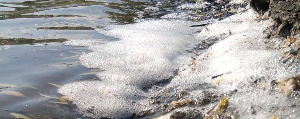 Schiuma nelle acque del laghetto di Parco Increa a Brugherio