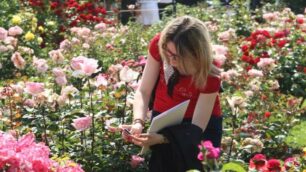 È primavera, il parco di Monza fiorisce: caccia ai fiori più belli