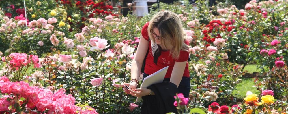 È primavera, il parco di Monza fiorisce: caccia ai fiori più belli