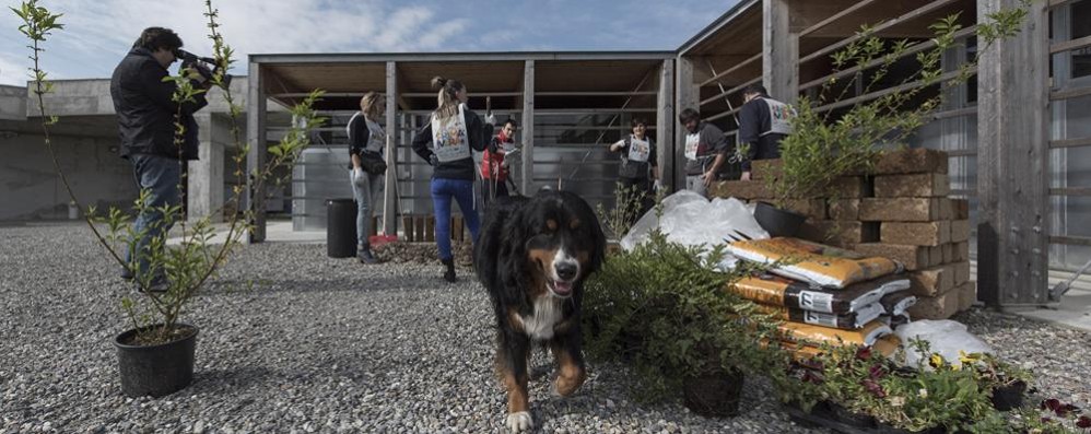 L'Enpa di Monza trasloca nel nuovo canile-gattile (foto Enpa/Edoardo Castelli)