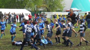Rugby, il Trofeo Carnevale di Usmate Velate