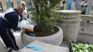 Monza, Pulizie di primavera in piazza Carducci