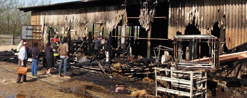 L’incendio che ha distrutto la stalla di Triuggio