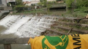 Monza. l’oasi di piazza Castello gestita da Legambiente