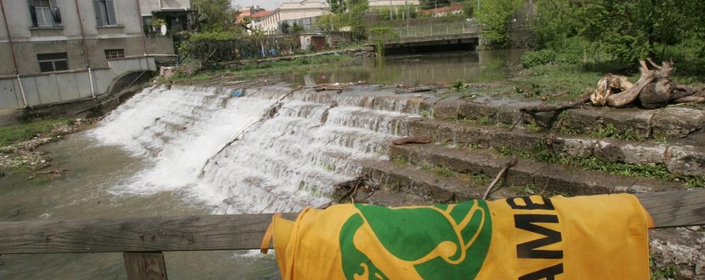 Monza. l’oasi di piazza Castello gestita da Legambiente