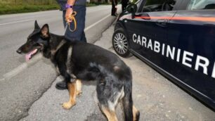 Controlli dei carabinieri di Vimercate anche con l’unità cinofila di Casatenovo