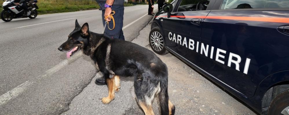 Controlli dei carabinieri di Vimercate anche con l’unità cinofila di Casatenovo