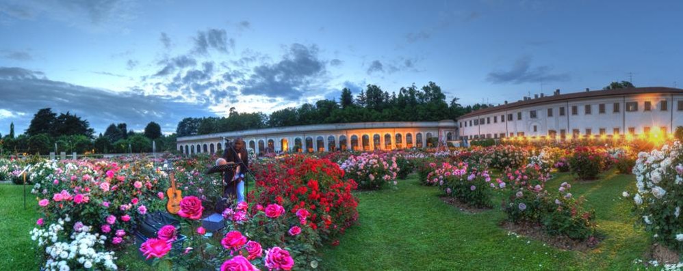 Tornano i Notturni al roseto della Villa reale