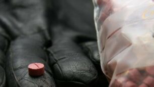 Un sequestro di ecstasy