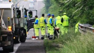 Recenti lavori di pulizia della Milano-Meda all’altezza di Lentate sul Seveso