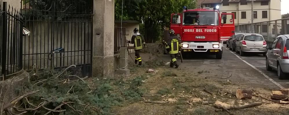 Pompieri in azione a Seveso per liberare la strada dal ramo caduto.